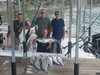 (07/17/2021) - Nice Striped Bass