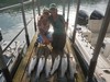 (07/19/2021) - Nice Striped Bass