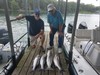 (07/20/2021) - Nice Striped Bass