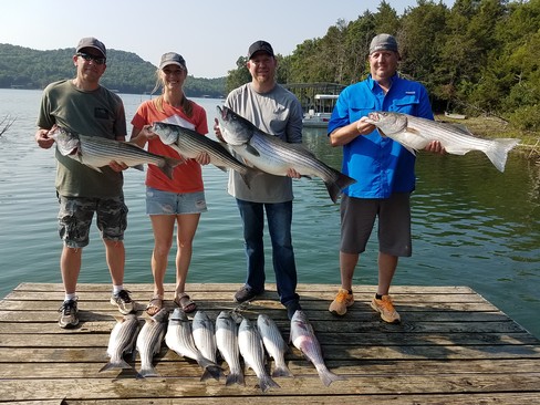 Nice Striped Bass