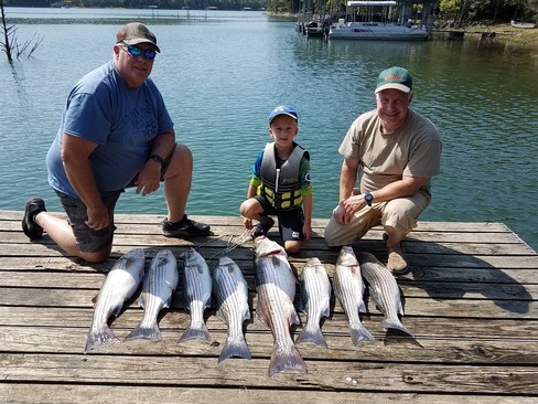 Nice Striped Bass
