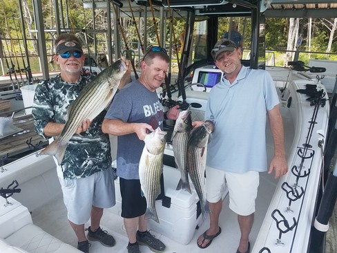 Nice Striped Bass