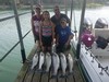 (07/29/2021) - Nice Striped Bass