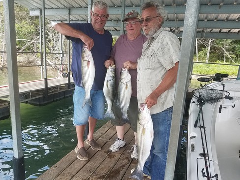 Nice Striped Bass