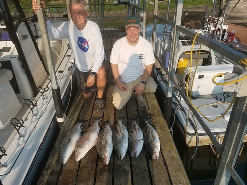 Nice Striped Bass