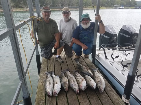 Nice Striped Bass