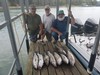 (08/08/2021) - Nice Striped Bass