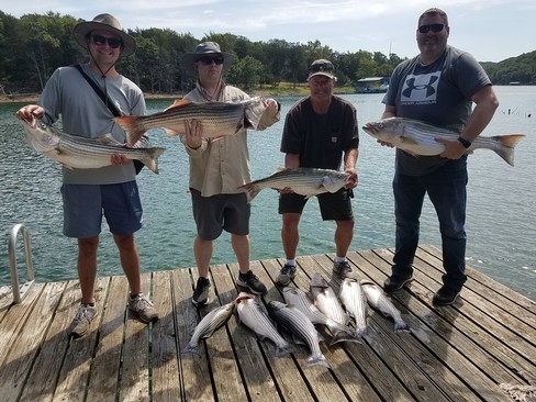 Nice Striped Bass