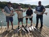 (08/11/2021) - Nice Striped Bass