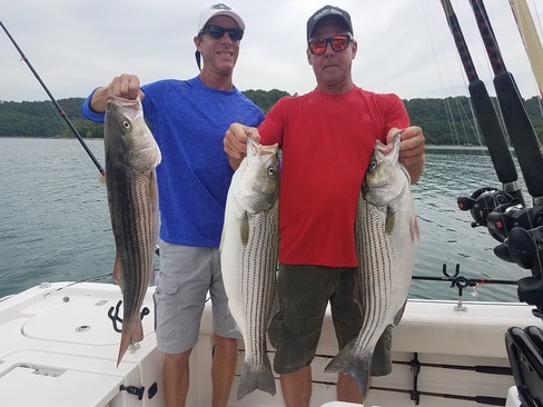 Nice Striped Bass