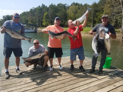 Nice Striped Bass