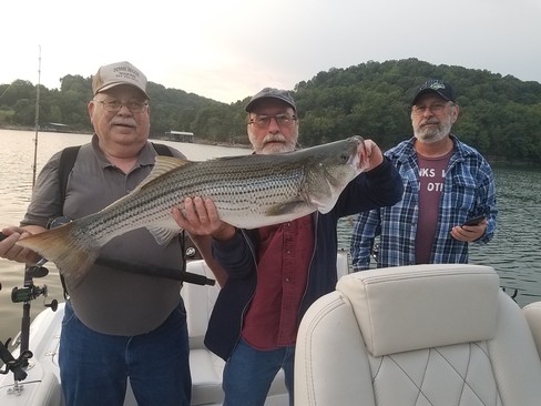 Nice Striped Bass