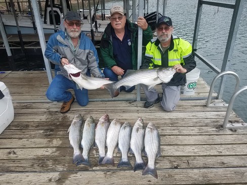 Nice Striped Bass
