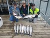 (08/18/2021) - Nice Striped Bass
