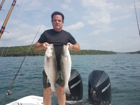 Nice Striped Bass