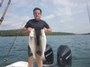 (08/20/2021) - Nice Striped Bass