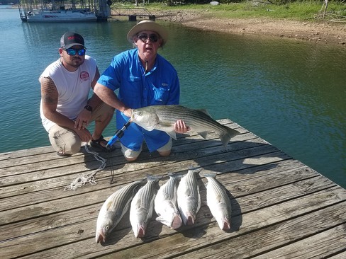 Nice Striped Bass