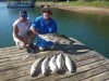 (08/23/2021) - Nice Striped Bass