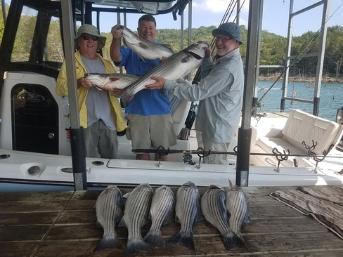Nice Striped Bass