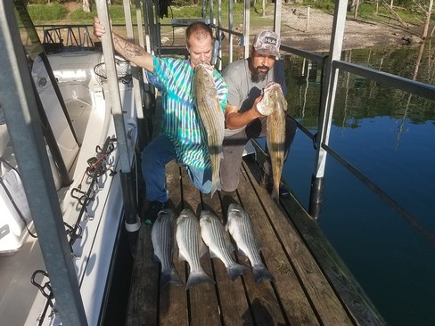 Nice Striped Bass