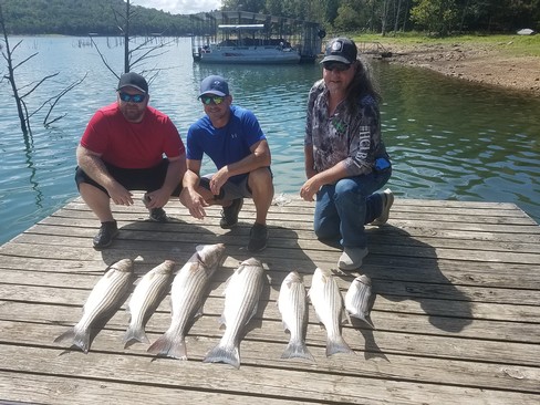 Nice Striped Bass