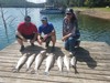 (08/30/2021) - Nice Striped Bass