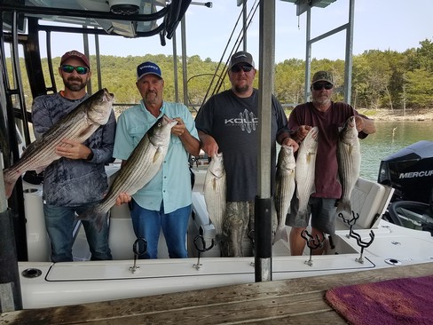Nice Striped Bass