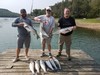 (09/03/2021) - Nice Striped Bass