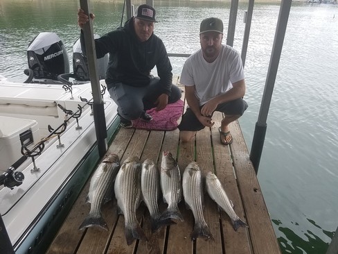 Nice Striped Bass