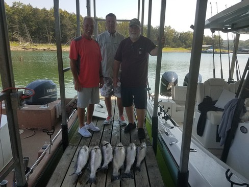 Nice Striped Bass