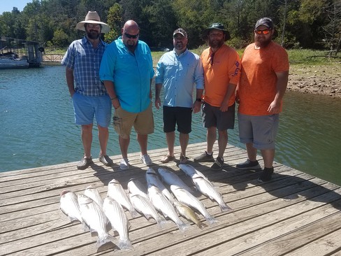 Nice Striped Bass