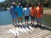 (09/08/2021) - Nice Striped Bass