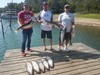 (09/09/2021) - Nice Striped Bass
