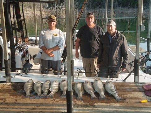 Nice Striped Bass