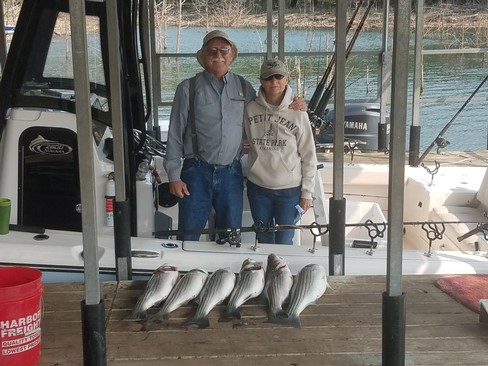 Nice Striped Bass