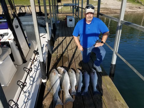 Nice Striped Bass