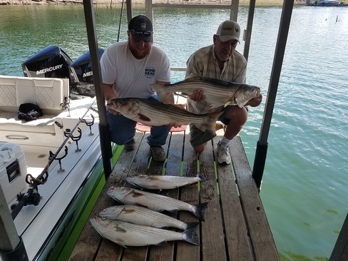 Nice Striped Bass
