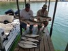 (09/19/2021) - Nice Striped Bass