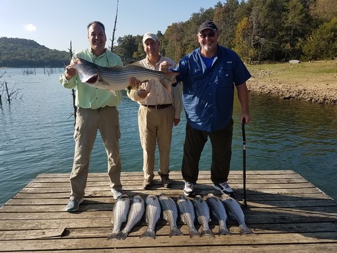 Nice Striped Bass