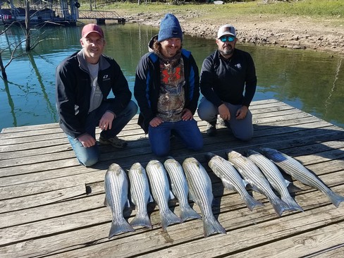 Nice Striped Bass