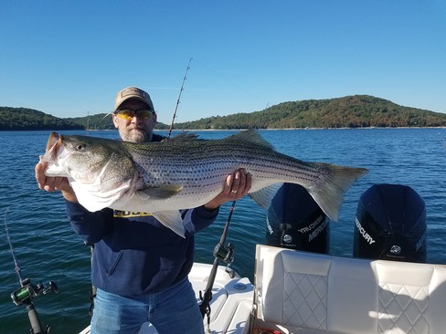 Nice Striped Bass