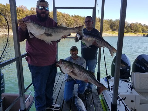 Nice Striped Bass