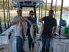 (09/26/2021) - Nice Striped Bass
