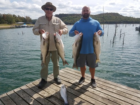 Nice Striped Bass