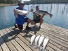 (09/30/2021) - Nice Striped Bass