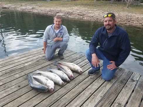 Nice Striped Bass