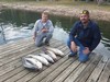 (10/23/2021) - Nice Striped Bass