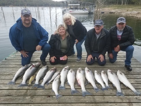 Nice Striped Bass