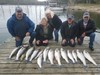 (10/27/2021) - Nice Striped Bass