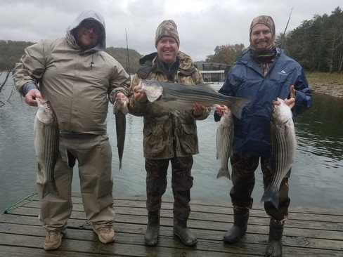 Nice Striped Bass